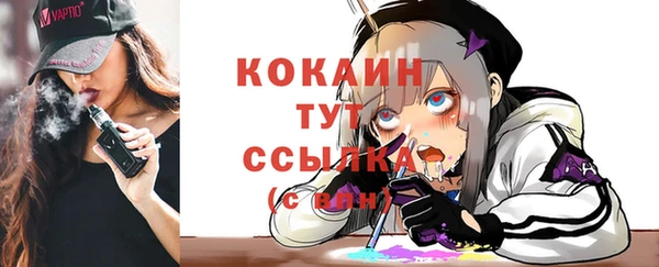 шишки Кукмор