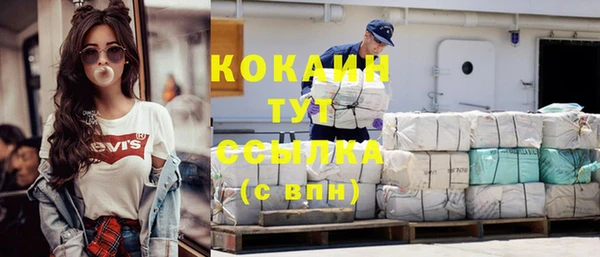 твердый Кулебаки