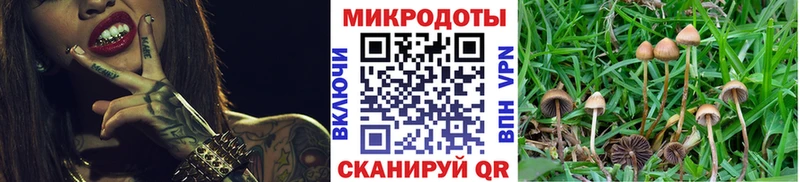 наркота  hydra ссылки  Псилоцибиновые грибы GOLDEN TEACHER  Новосибирск 