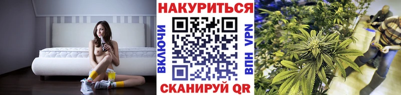Бошки марихуана конопля  закладка  Новосибирск 
